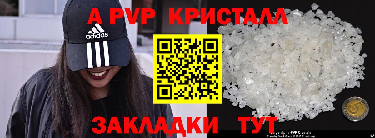 A-PVP СК КРИС Элиста