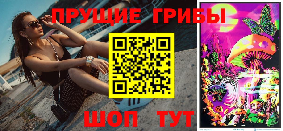 Псилоцибиновые грибы Cubensis  Вход с VPN  Галлюциногенные грибы мицелий  Элиста 