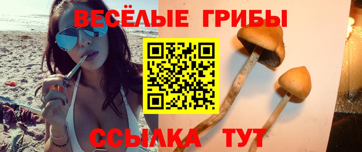 Галлюциногенные грибы прущие грибы Элиста