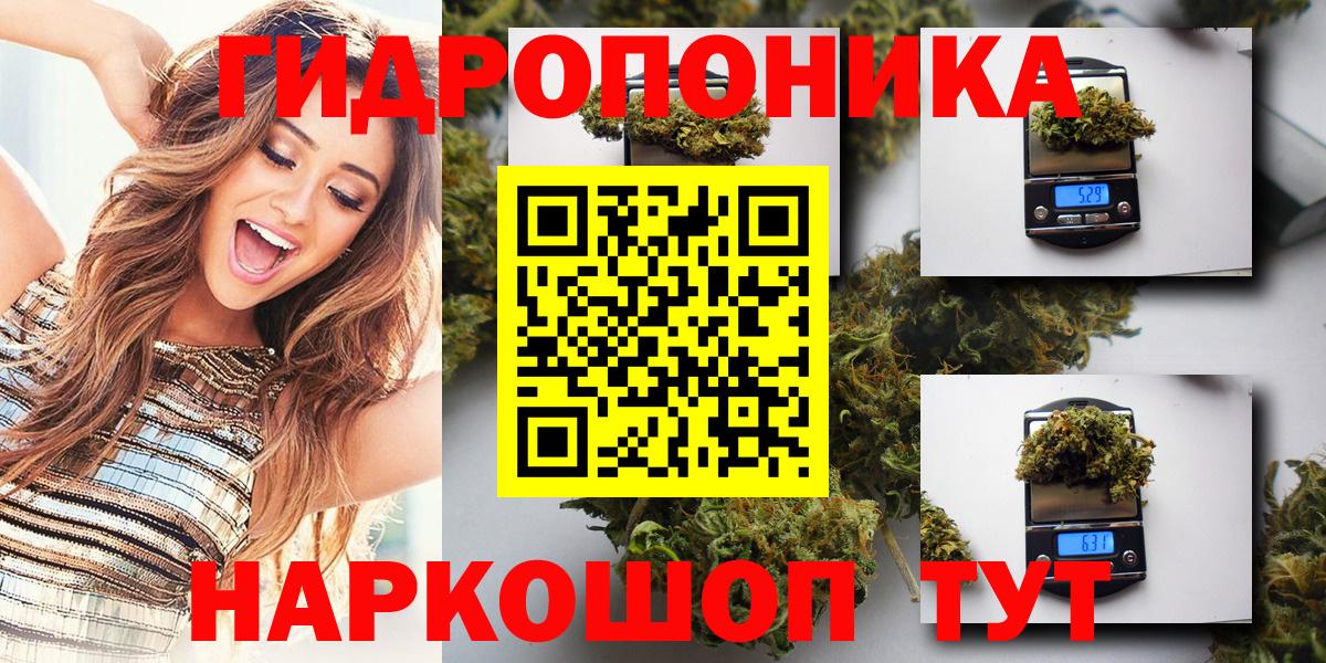 Бошки Шишки индика  Канабис индика  Вход с VPN  Элиста  Канабис конопля 